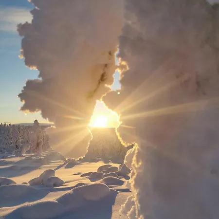 Tonttula * Saariselkä