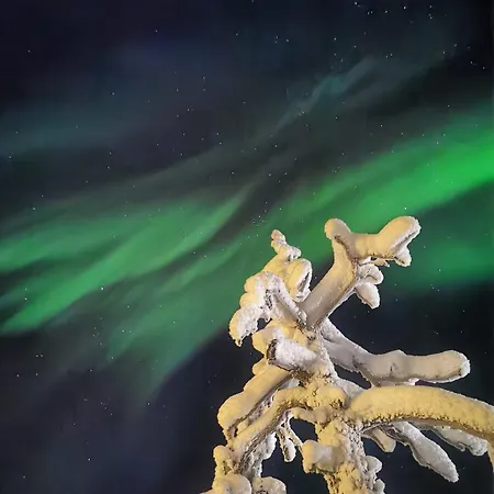 Tonttula Dom wakacyjny Saariselkä